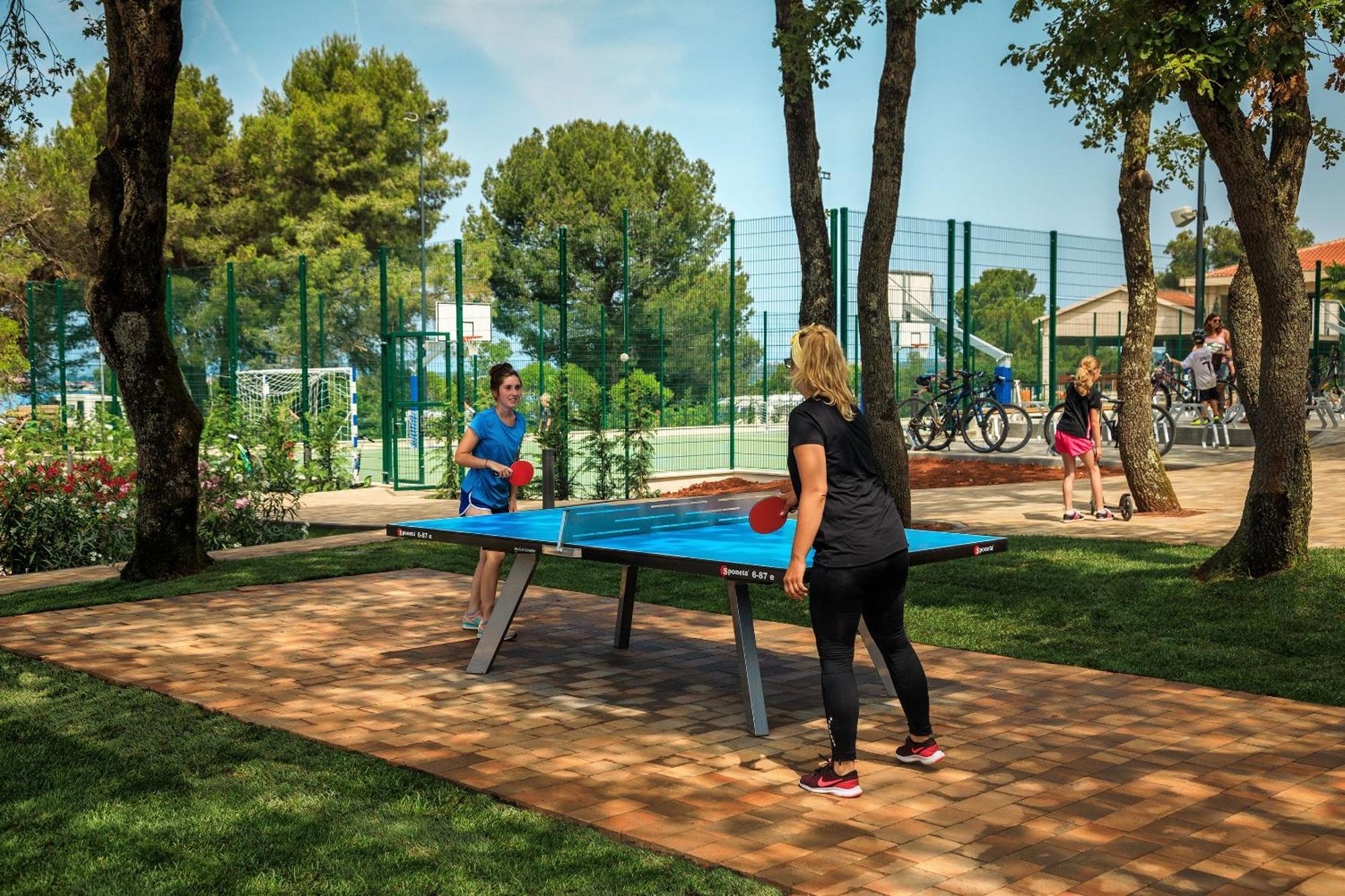 Happy Camp Mobile Homes In Valamar Lanterna *